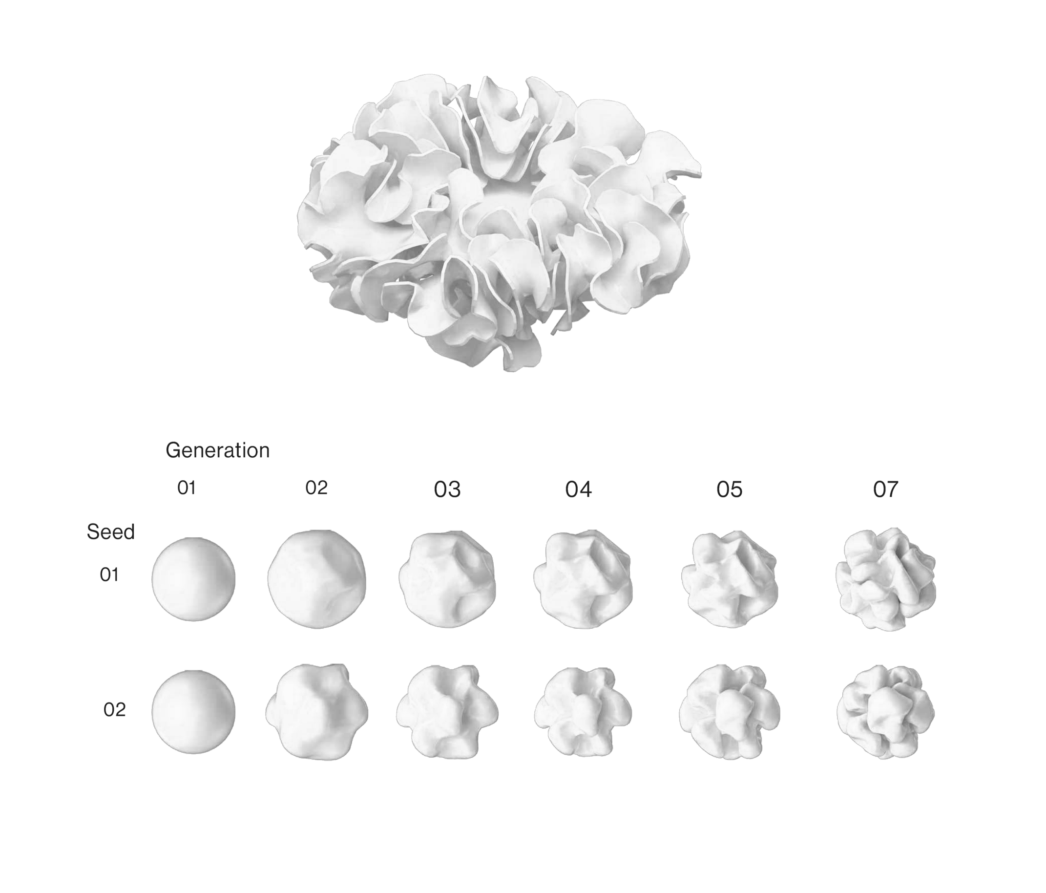 Differential Growth